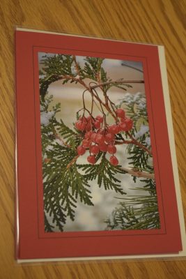Linda Brown's Christmas card